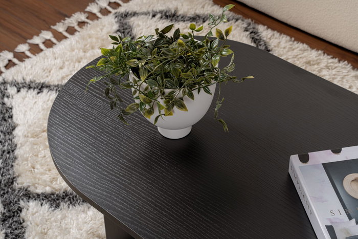 Nordure Sable Mesa de Centro Madera Negro Elegante y Funcional para Salón